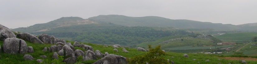 SANY0058.JPG