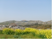 SANY0006.JPG