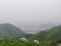 SANY0021.JPG