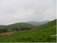SANY0043.JPG