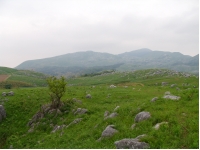 SANY0056.JPG