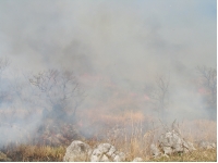 SANY0057 2.JPG