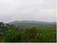 SANY0058.JPG