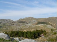 SANY0071.JPG