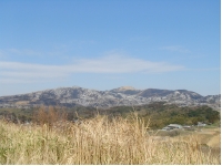 SANY0072 2.JPG