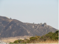 SANY0076.JPG