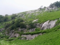 hirao5.jpg