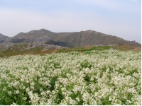 SANY0001.JPG