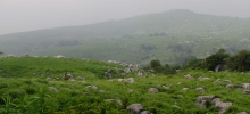 hirao11.jpg