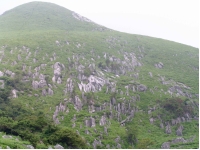 hirao4.jpg