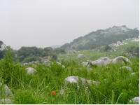 hirao6.jpg