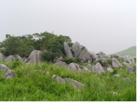 hirao8.jpg