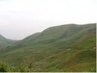 SANY0004.JPG
