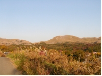 SANY0019.JPG