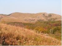 SANY0022.JPG