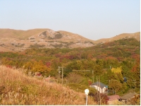 SANY0024.JPG