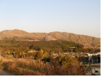 SANY0033.JPG