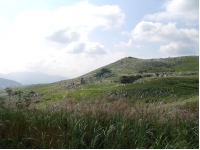 SANY0086.JPG