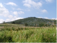 SANY0097.JPG