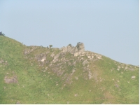 SANY0159.JPG