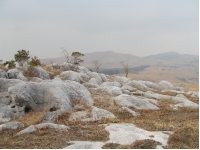 SANY0001 2.JPG