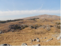 SANY0002.JPG
