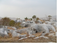 SANY0003 2.JPG