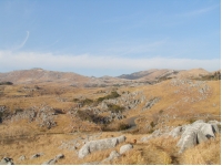 SANY0003.JPG