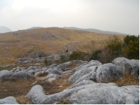SANY0005 2.JPG