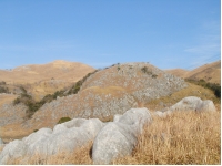SANY0005.JPG