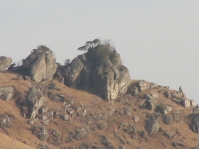 SANY0007.JPG