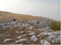 SANY0008.JPG