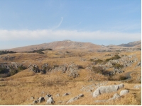 SANY0054.JPG