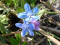 SANY0068.JPG