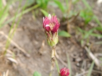 SANY0019.JPG