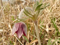 SANY0028.JPG