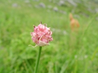 SANY0033.JPG
