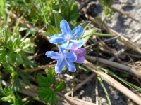 SANY0068.JPG
