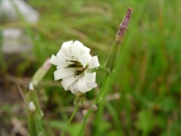 SANY0148.JPG