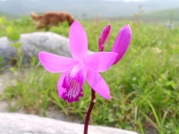 SANY0007.JPG