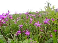 SANY0016.JPG