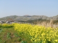 SANY0004.JPG