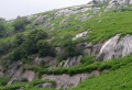 hirao5.jpg